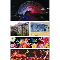 LED彩燈樹(shù)燈煙花燈戶外防水裝飾樹(shù)燈