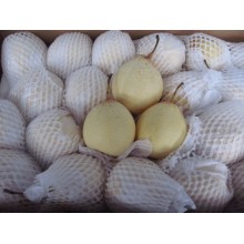 水果出口商檢清關注意事項，青島港水