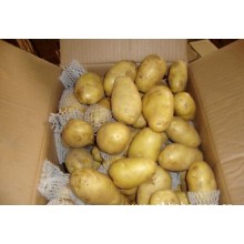 土豆怎么出口到越南，青島港土豆出口清關商檢代理