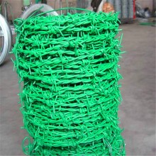 山東廠家供應防爬網 刺繩廠家批發