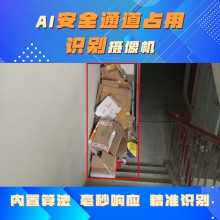 博瓦科技 安全通道占道監測識別系統 