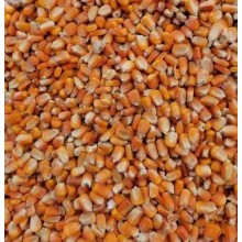 進口玉米報關實戰經驗