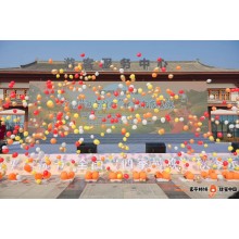 西安提供啟動道具 演出節目 開場舞蹈 古箏獨奏 開工儀