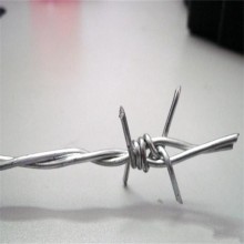 海南現(xiàn)貨單股刺繩廠家供應(yīng)儋州綠色鐵絲網(wǎng)蕪湖綠色鋼絲