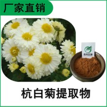 森冉生物 杭白菊提取物 小白菊提取物 比例提取原料粉