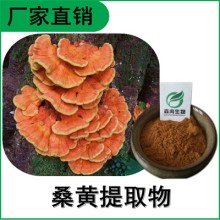 森冉生物 桑黃提取物 桑黃多糖 桑耳提取物