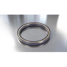 新能源裝備金色彈簧泛塞封密封圈PTA批發(fā)廠家